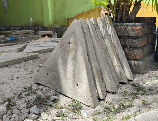 Anggota komunitas menanam terumbu karang buatan di laut Wakatobi