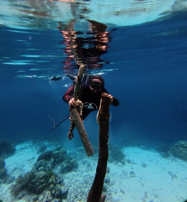 Bersihkan sampah laut