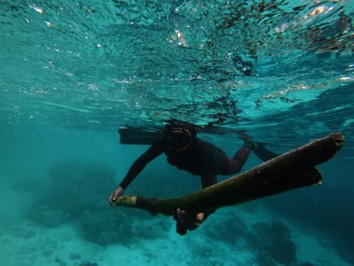 Bersihkan sampah laut