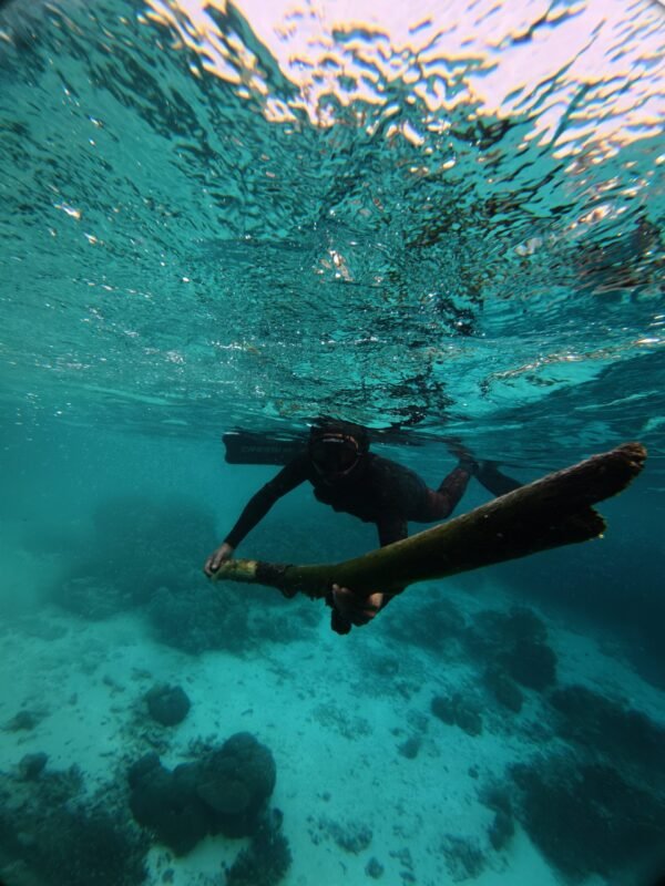 default Bersihkan sampah laut