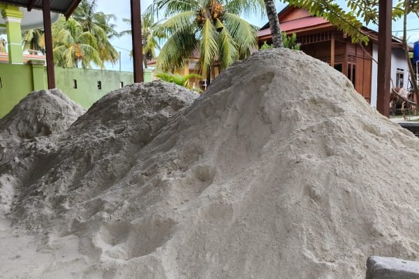 Proyek pantai buatan sebagai upaya konservasi laut Wakatobi